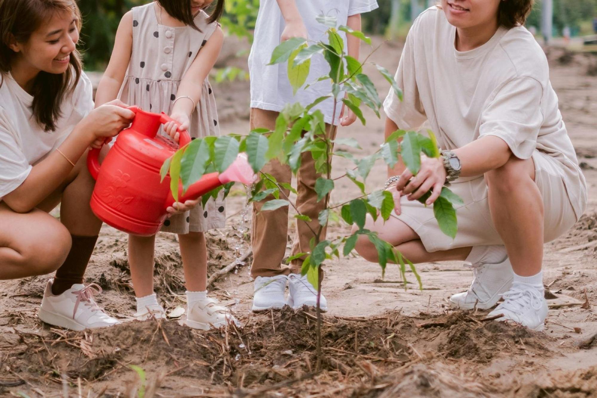 Miri Marriott Resort&Spa Exterior foto Children planting trees